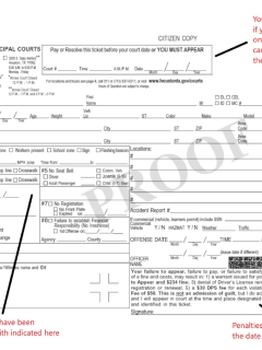 Sample Traffic Ticket